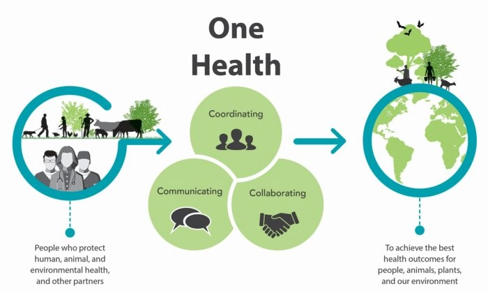 La definición de One Health. (CDC / Centro Nacional para Enfermedades Infecciosas Emergentes y Zoonóticas)