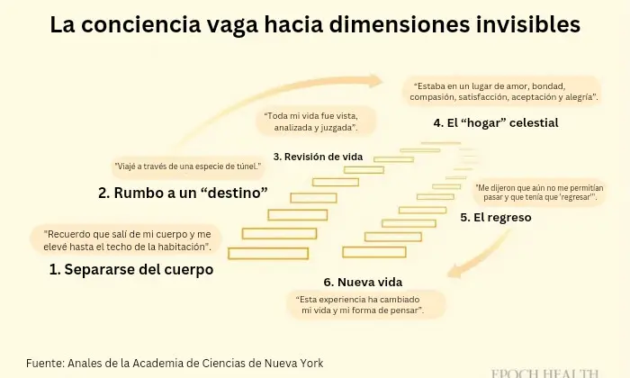 Una guía médica de 2022 elaborada por el Dr. Sam Parnia y un equipo de expertos médicos resumió que las ECM tienen patrones sorprendentemente similares. (Ilustración de The Epoch Times)