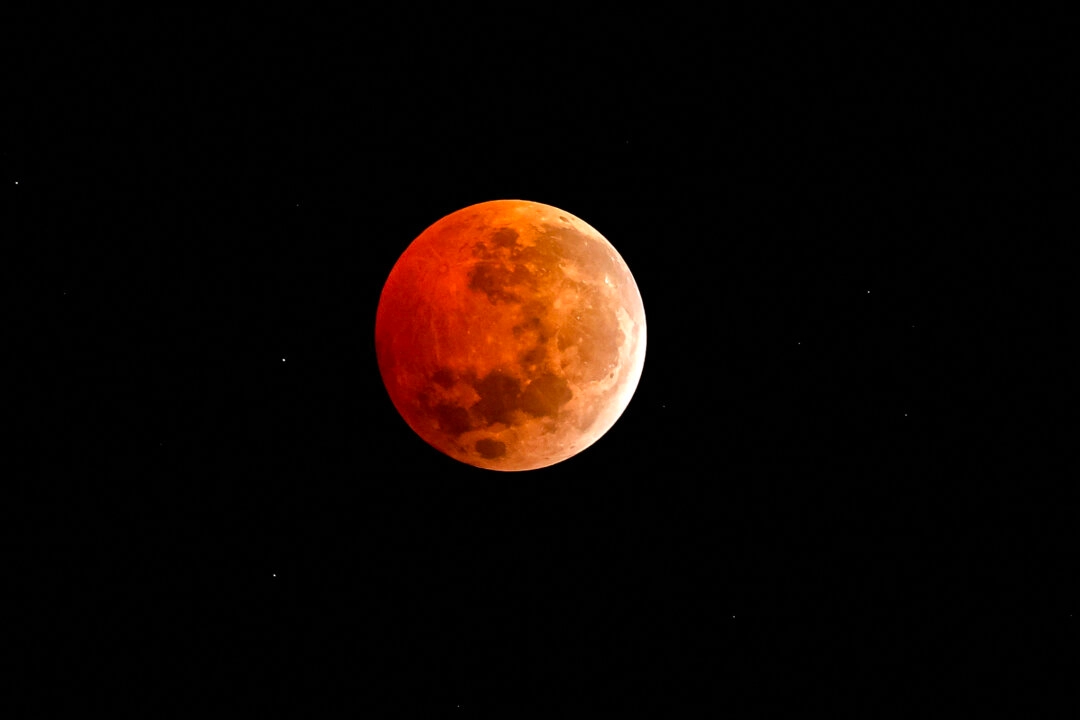 El eclipse de luna llena se observa desde el telescopio del Observatorio Foster en Santiago de Chile, el 14 de marzo de 2025. (Javier Torres/AFP a través de Getty Images)