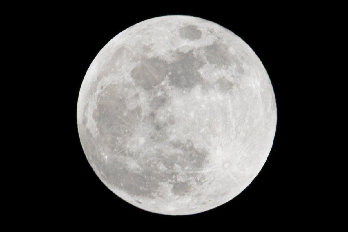 La luna llena antes del eclipse lunar total en Daytona Beach, Florida, el 14 de marzo de 2025. (Miguel J. Rodríguez Carrillo/Getty Images)