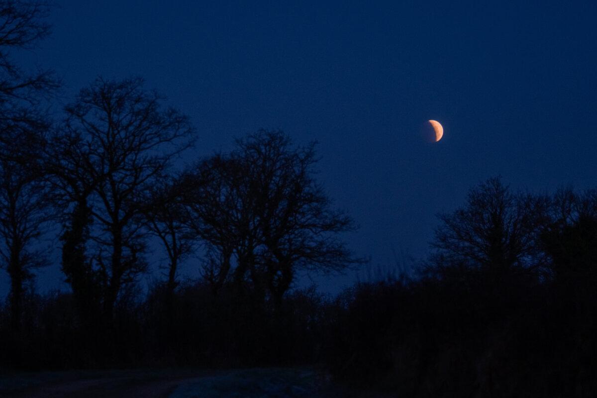 Eclipse lunar total sobre el campo en Rouans, Francia occidental, al amanecer del 14 de marzo de 2025. (Maylis Rolland/Hans Lucas/AFP a través de Getty Images)