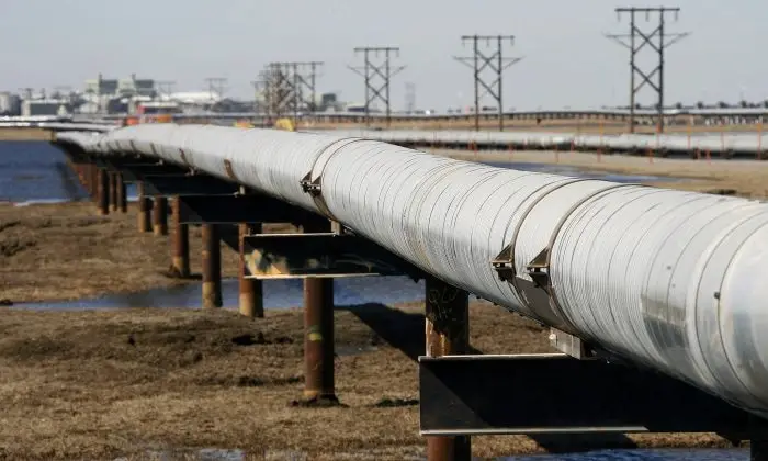 Un oleoducto de tránsito atraviesa la tundra hasta una estación de flujo en el campo petrolífero de Prudhoe Bay, en la vertiente norte de Alaska. (Al Grillo, archivo/AP Photo)
