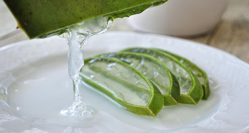 Aloe Vera es una planta muy versátil que puede ayudar a problemas digestivos (RosinaS, Pixabay)