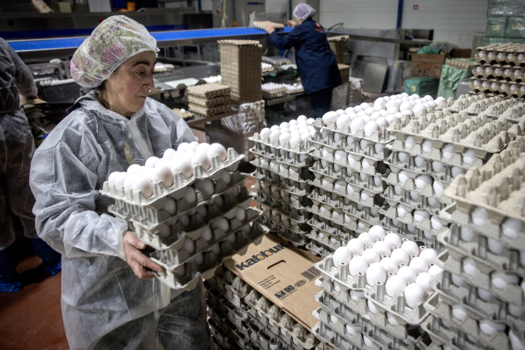 Un empleado empaqueta huevos en la granja de pollos Aytekin en Bandirma, Turquía, el 28 de febrero de 2025. (Chris McGrath/Getty Images)
