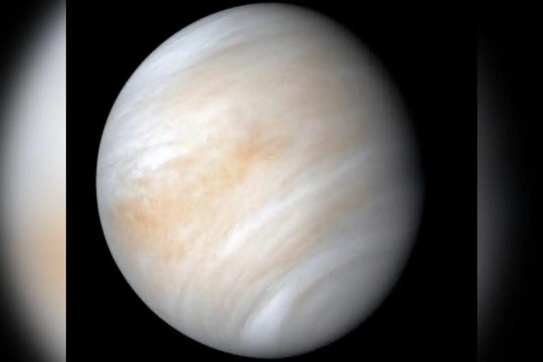 Venus tomada desde la nave espacial Mariner 10 de la NASA. (NASA/JPL-Caltech vía AP)
