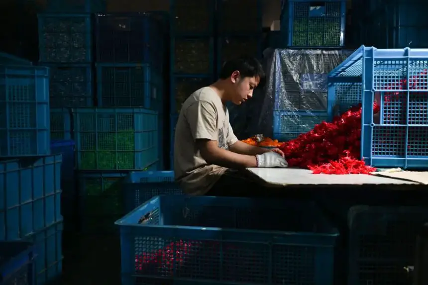 Un empleado trabaja en una fábrica de juguetes especializada en artilugios de plástico que funcionan con energía solar en Yiwu, provincia oriental china de Zhejiang, el 11 de abril de 2025. (Adek Berry/AFP vía Getty Images)