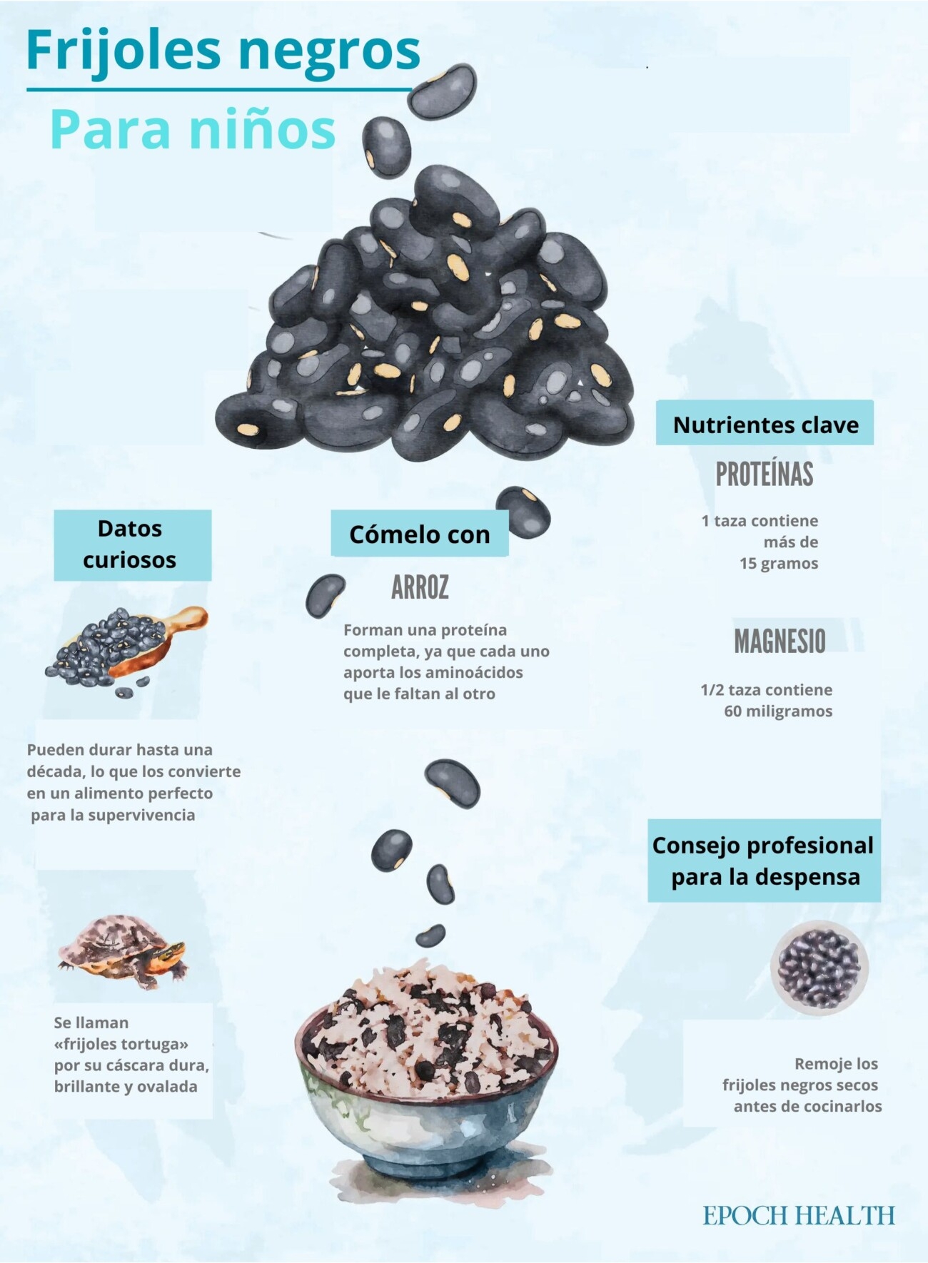 Una infografía de frijoles negros para niños. (Ilustración de The Epoch Times / Shutterstock)