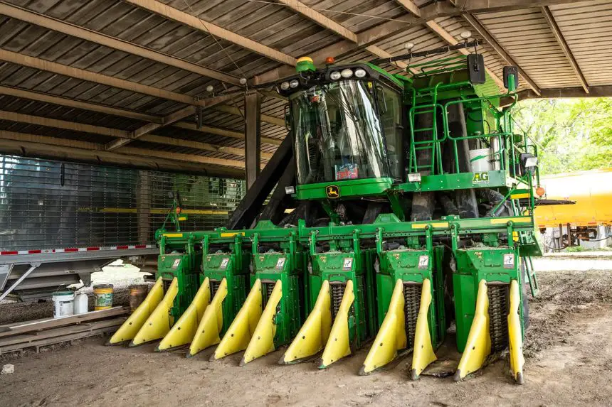 Una recolectora de algodón en Mencer Farms, en Lake Village, Arkansas, el 29 de abril de 2025. (Samira Bouaou/The Epoch Times)