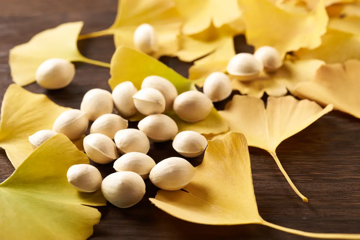(Ginkgo Nut manbo-photo/Shutterstock).