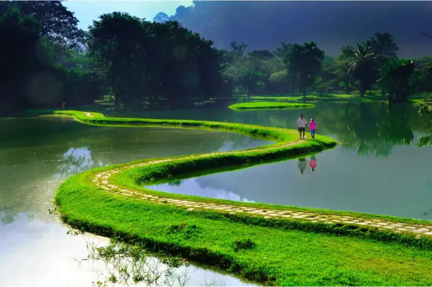 “Escena matutina” de Chee-Eam Chua (Malasia). Ganador del Premio de Oro en la categoría Naturaleza y Paisajes del cuarto Concurso Internacional de Fotografía NTD. (Cortesía del Concurso Internacional de Fotografía NTD)