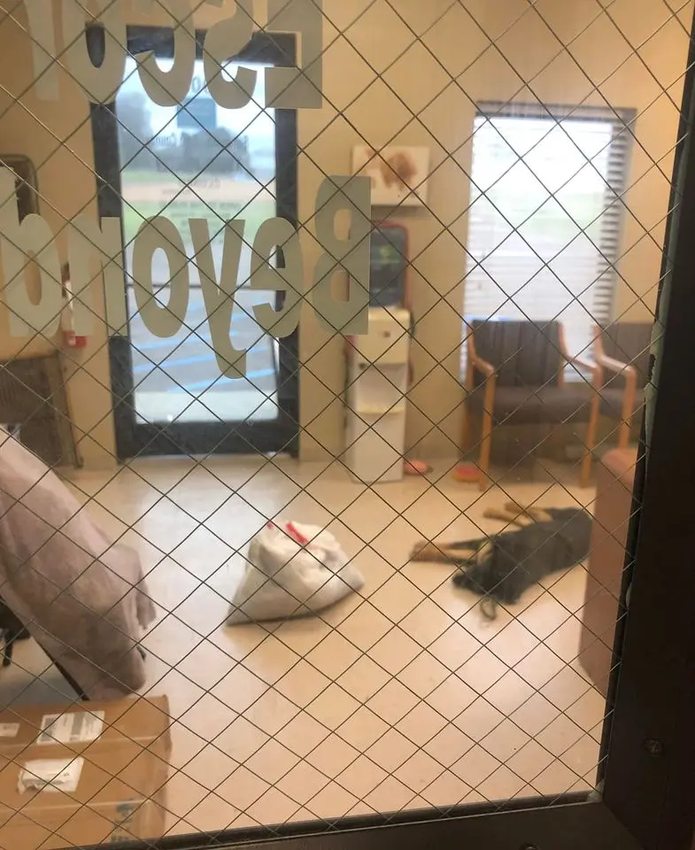 (Cortesía de Kris Robinson/ <a href="https://web.facebook.com/Senatobia-Tate-County-Animal-Shelter-225927512197/?_rdc=1&_rdr" target="_blank" rel="noopener">Refugio de animales de Senatobia</a>)