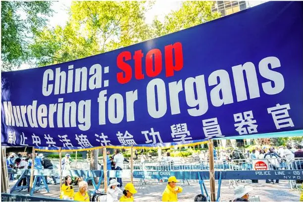 Una pancarta en la que se pide el fin de la sustracción forzada de órganos a practicantes de Falun Gong en China se exhibe mientras los practicantes demuestran la meditación de esta práctica espiritual, junto a las Naciones Unidas en la ciudad de Nueva York, el 20 de septiembre de 2023. (Chung I Ho/The Epoch Times)