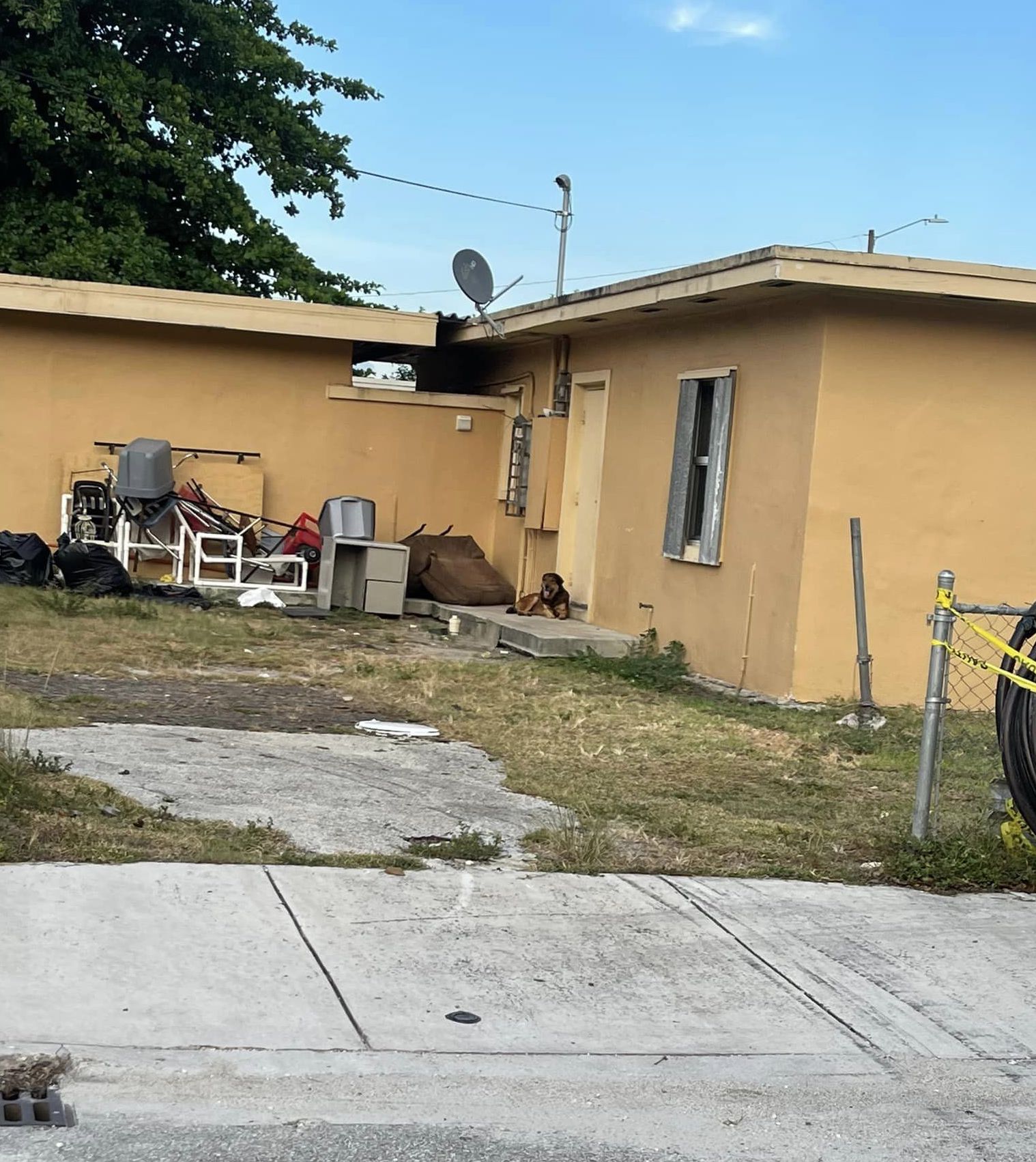 Salvatore espera fuera de la casa de su antigua familia, con la esperanza de que vuelvan. (Cortesía de Everglades Angels Dog Rescue)