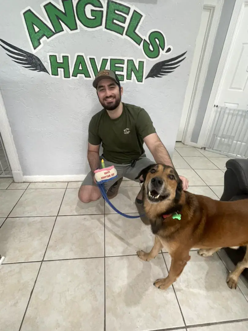 (Cortesía de Everglades Angels Dog Rescue)