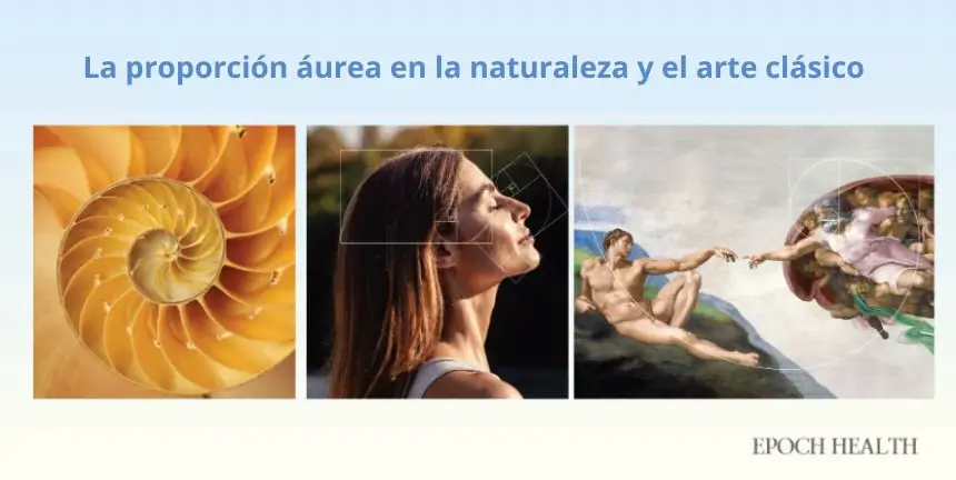 (Ilustración de The Epoch Times / Shutterstock).