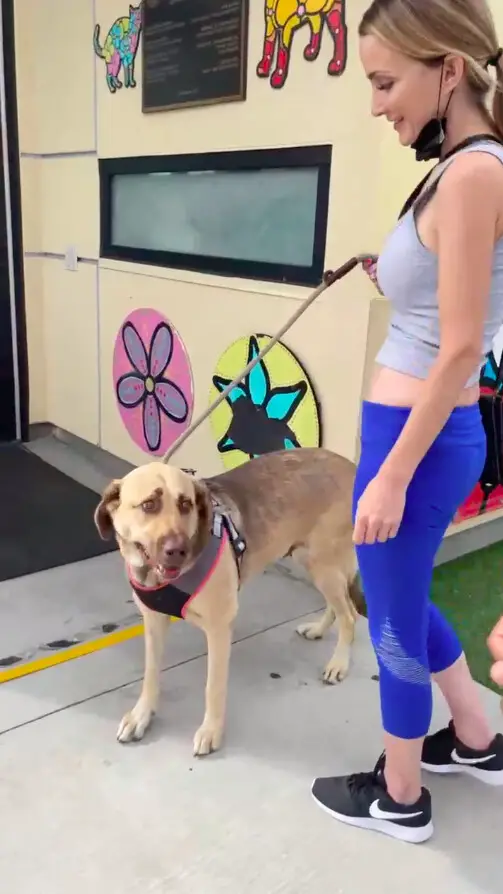 Chloe con Shira, saliendo del refugio. (Cortesía de The Animal Rescue Mission <a href="https://www.instagram.com/theanimalrescuemission/" target="_blank" rel="noopener">@theanimalrescuemission</a>)