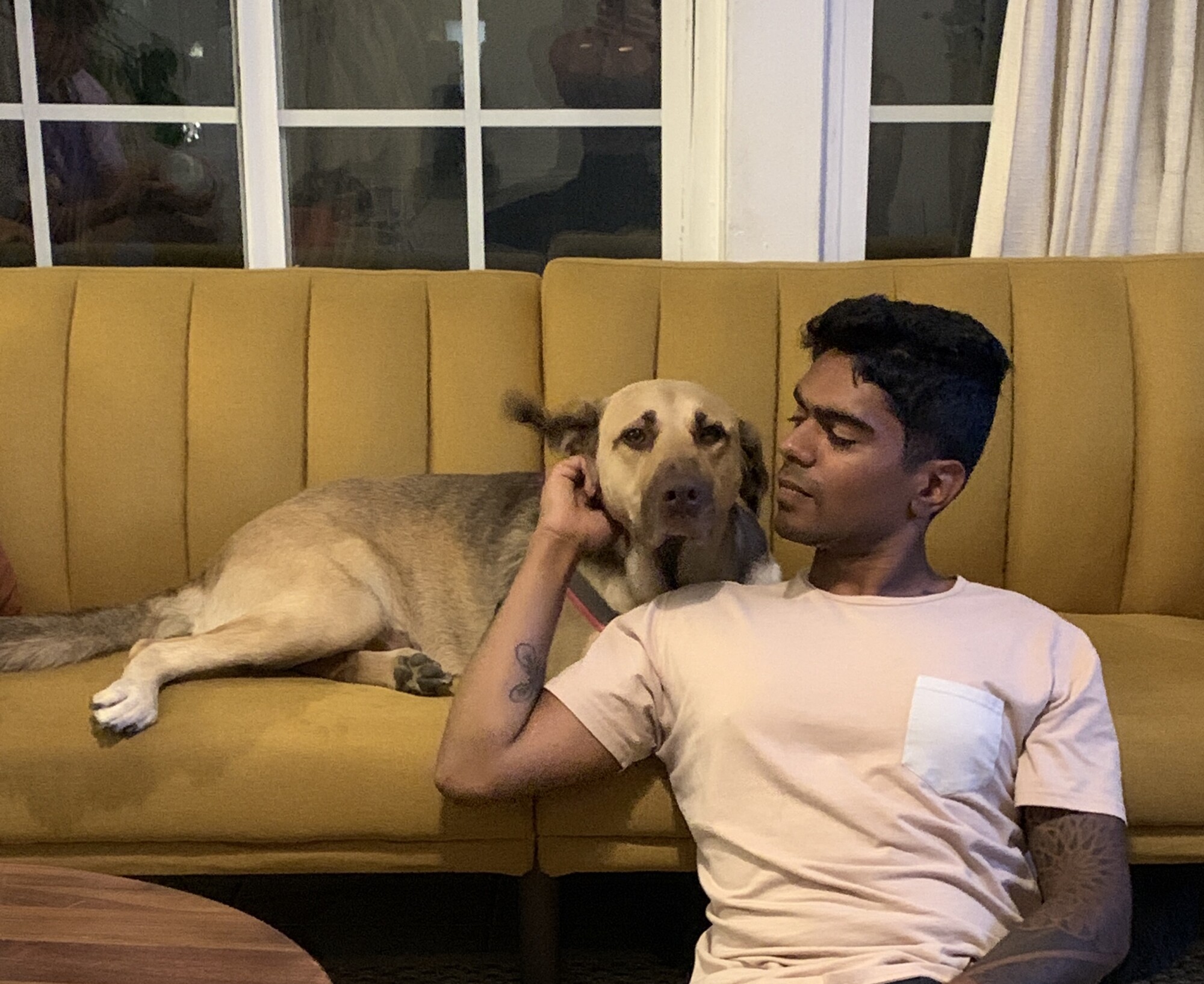 Chloe con Darvish en su casa. (Cortesía de The Animal Rescue Mission <a href="https://www.instagram.com/theanimalrescuemission/" target="_blank" rel="noopener">@theanimalrescuemission</a>)