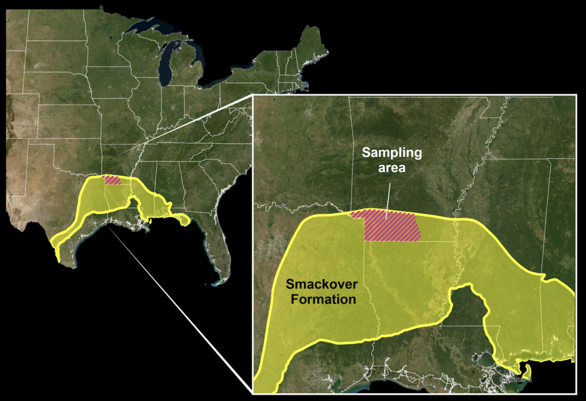 La formación Smackover, situada en el suroeste de Arkansas, en la zona sombreada en rojo del recuadro, contiene entre 5 y 19 millones de toneladas métricas de litio, según un estudio realizado por el Servicio Geológico de los Estados Unidos y el Departamento de Energía y Medio Ambiente de Arkansas. (USGS).