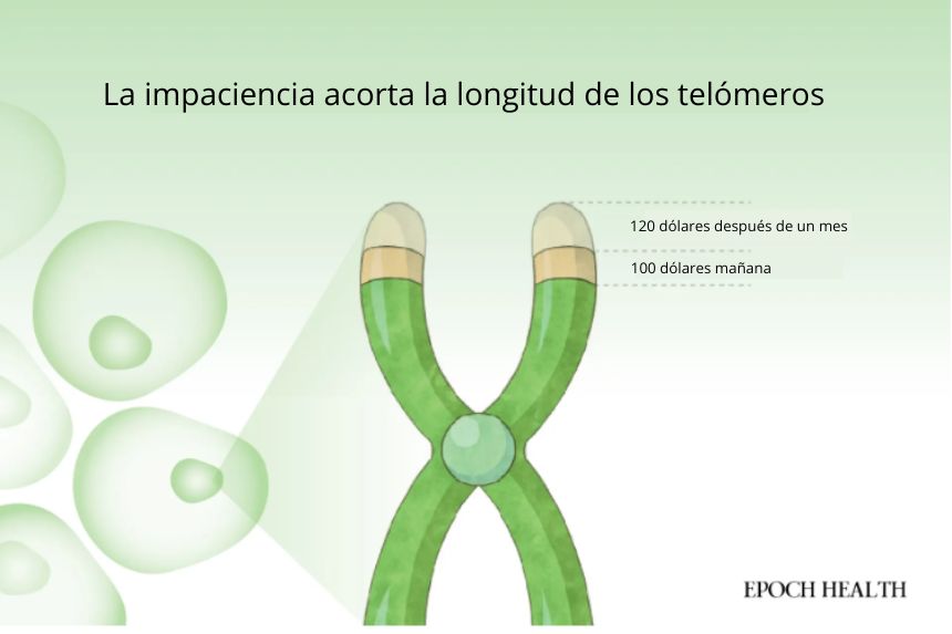 (Ilustración de The Epoch Times)