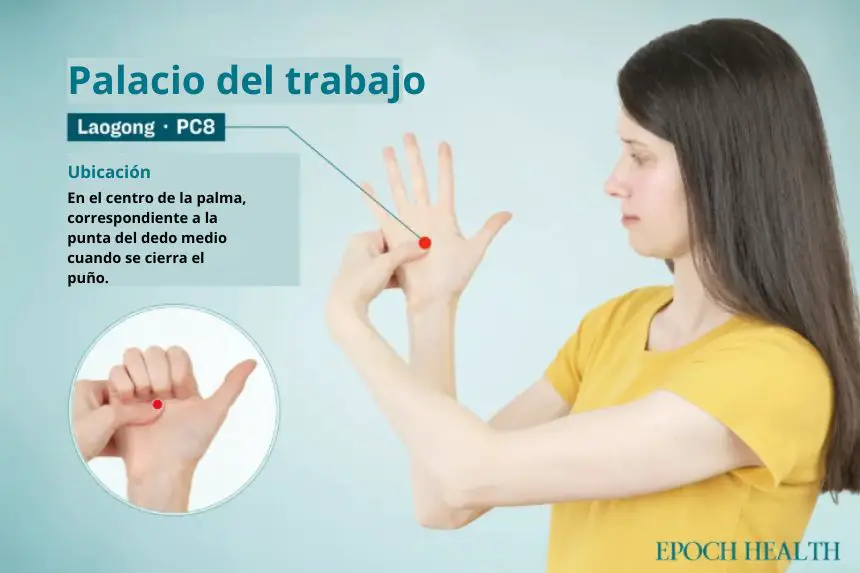 Ubicación del punto de acupuntura Laogong. (The Epoch Times)
