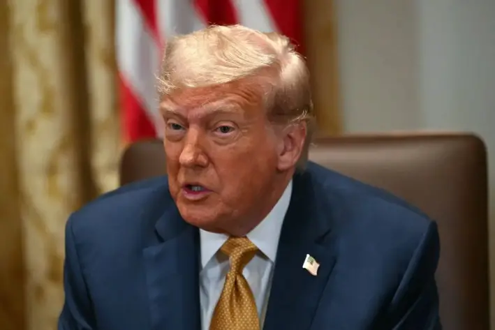 El presidente Donald Trump habla durante una reunión del gabinete en la Sala del Gabinete de la Casa Blanca, el 8 de julio de 2025. (Andrew Caballero-Reynolds /AFP vía Getty Images)