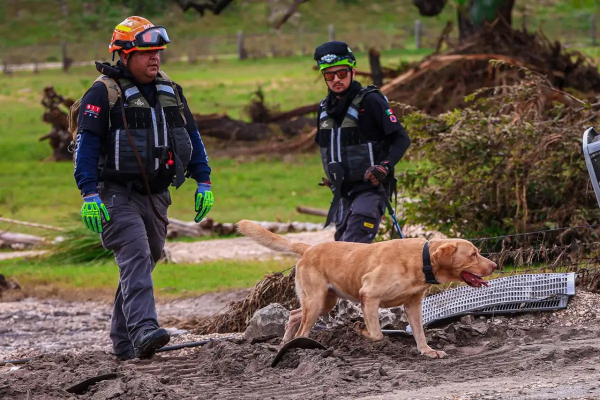 Binomios caninos trabajan en la zona de desastre tras las inundaciones de Texas, el 9 de julio de 2025. (Cortesía: Protección Civil de Nuevo León)