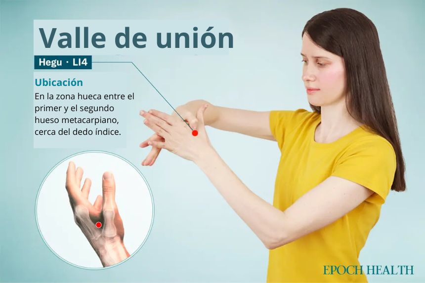 Ubicación del punto de acupuntura Heigu. (The Epoch Times)