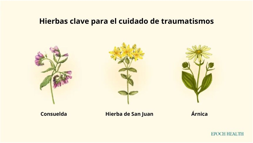 Las "hierbas de oro" para la atención de traumas. (The Epoch Times)