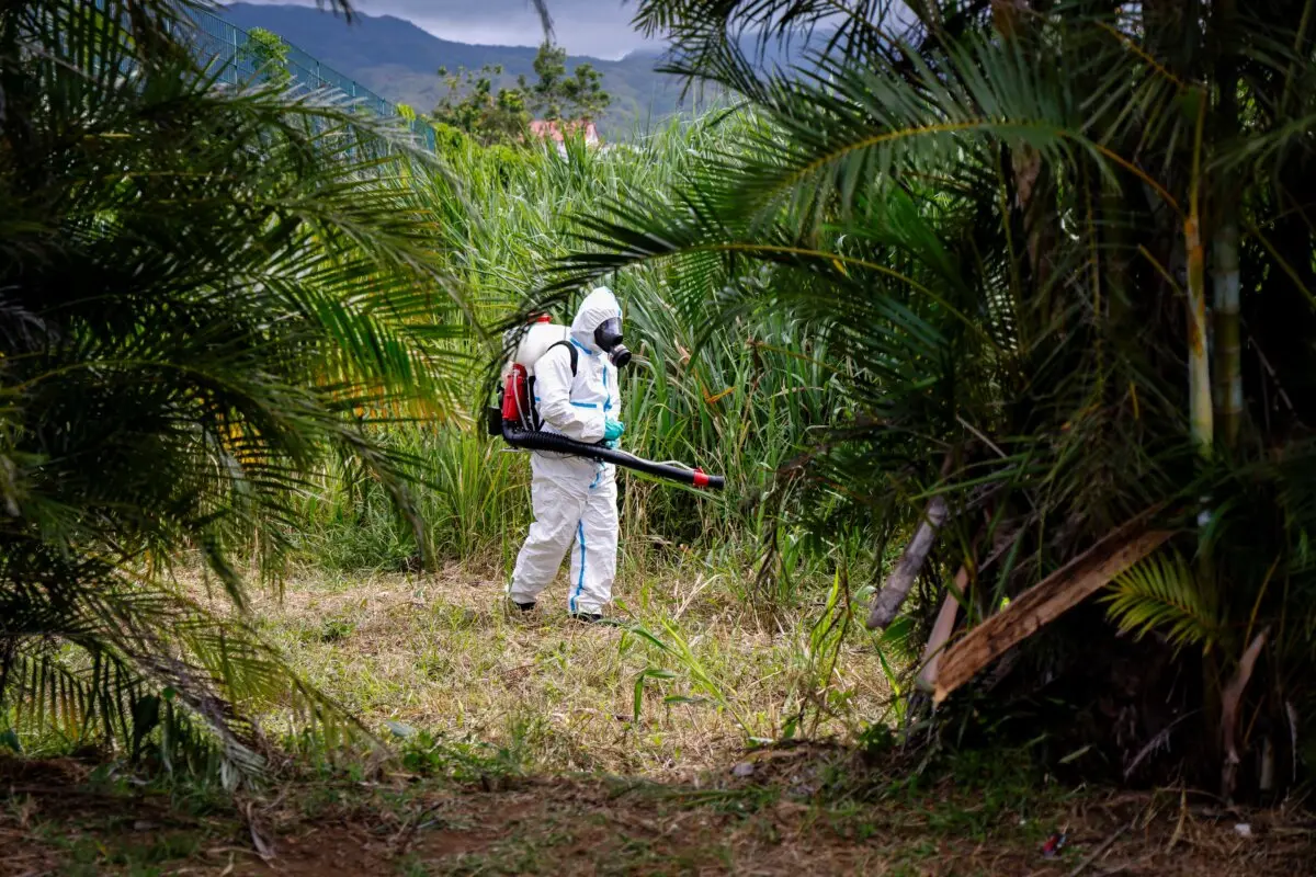 Un agente de control de vectores del ARS participa en la lucha contra la pandemia de chikungunya causada por mosquitos en Saint-Benoit, en la isla francesa de La Reunion, el 22 de abril de 2025. Macron inició un viaje de cinco días centrado en la estrategia de Francia en el océano Índico con una visita a Mayotte, La Reunion, Madagascar y, posteriormente, Mauricio. (LUDOVIC MARIN/AFP a través de Getty Images)