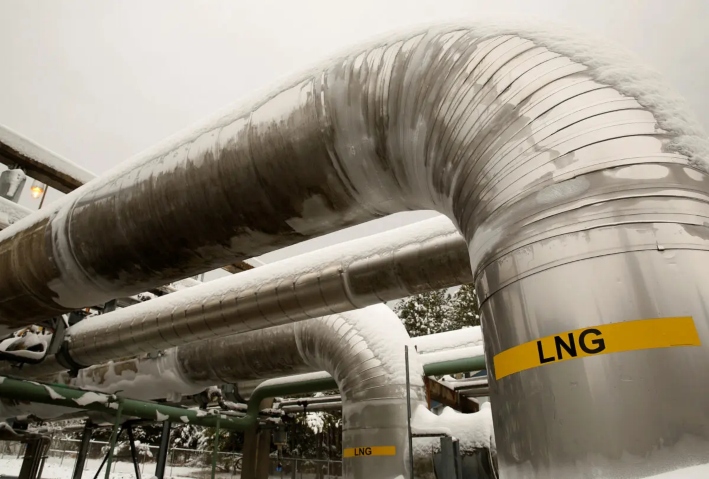 Líneas de transferencia cubiertas de nieve en la terminal de gas natural licuado (GNL) Dominion Cove Point, en Lusby, Maryland, el 18 de marzo de 2014. (Gary Cameron/Reuters)