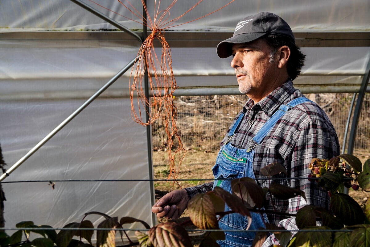 El agricultor Mike Myers inspecciona el invernadero de tomates en su granja cerca de Knoxville, Tennessee, el 2 de diciembre de 2021. (Jackson Elliott/The Epoch Times).