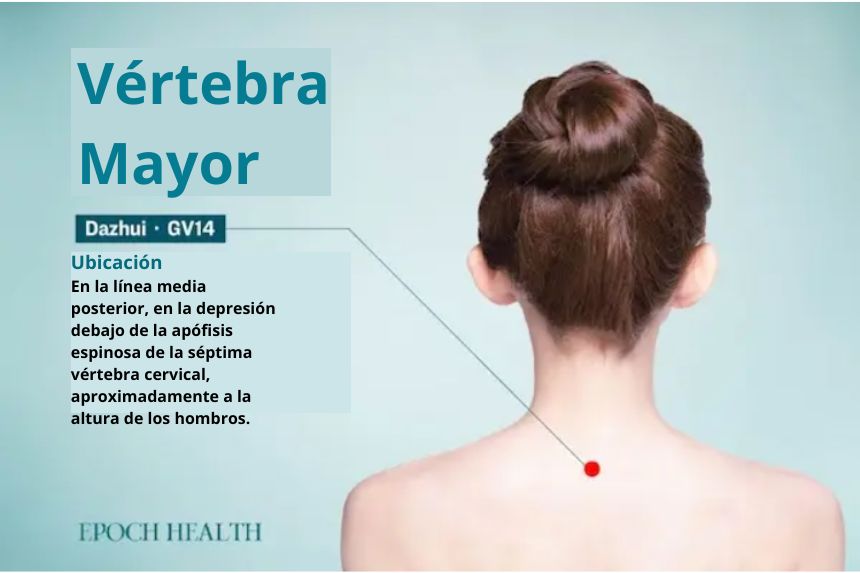 Punto de acupuntura de la vértebra mayor. (The Epoch Times)