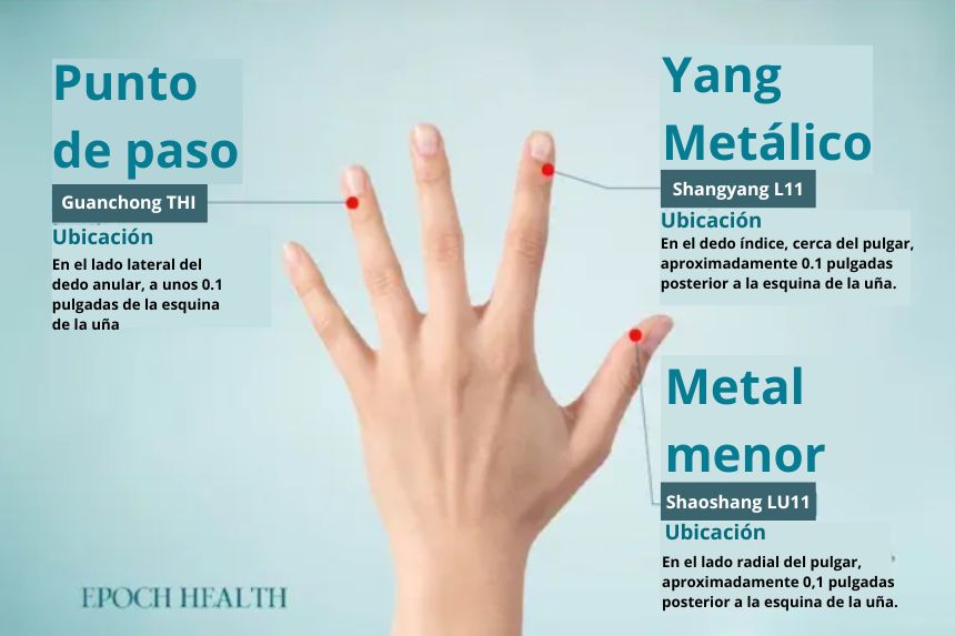 Los puntos de acupuntura en la mano, de izquierda a derecha, son el Punto de Paso, el Yang Metálico y el Metal menor. (The Epoch Times)