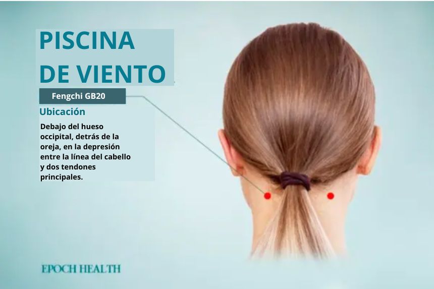 Punto de acupuntura de la Piscina de Viento (The Epoch Times)