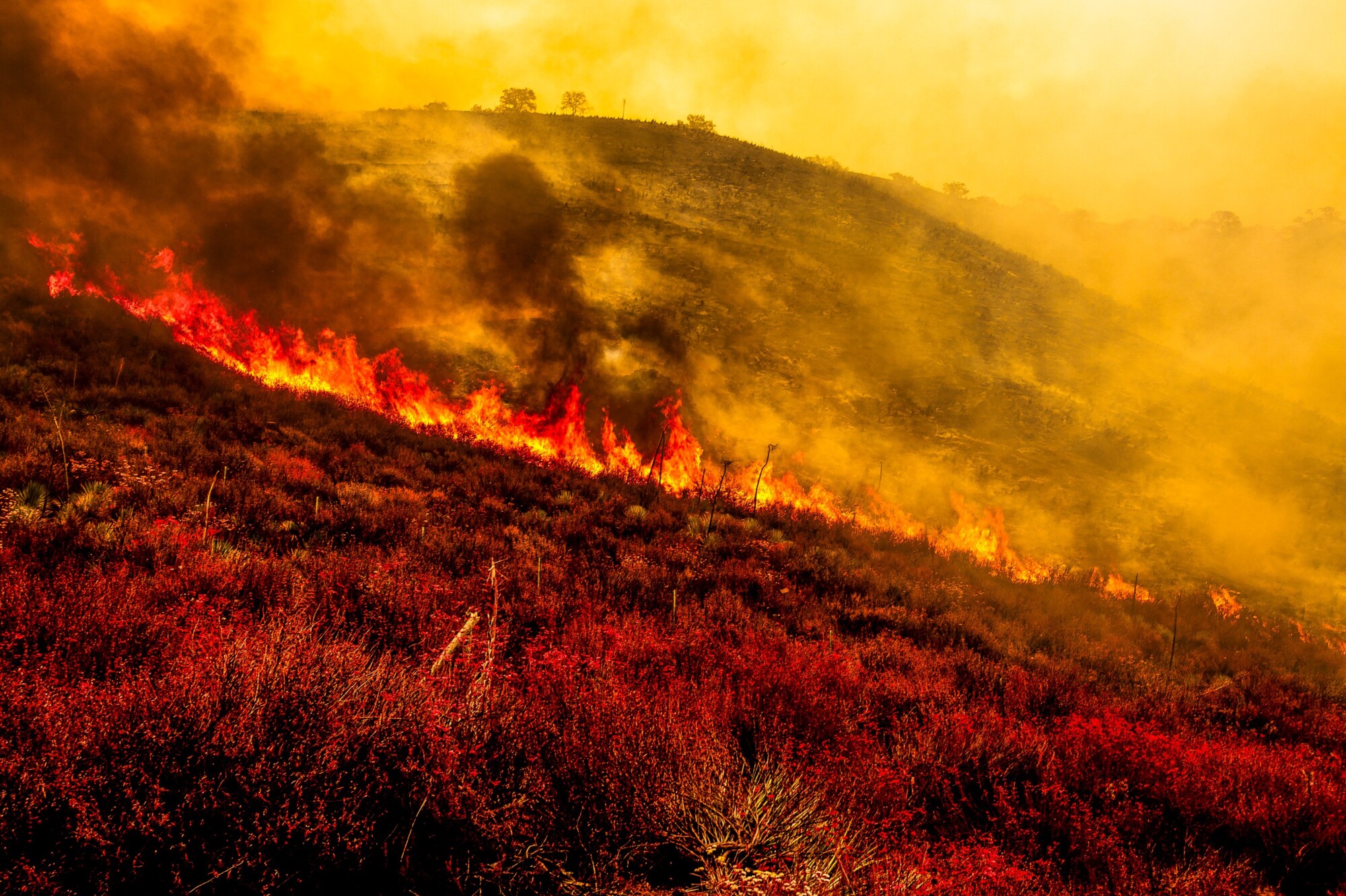 El incendio Gifford quema 30,000 acres en el Bosque Nacional Los Padres el 2 de agosto de 2025. (Benjamin Hanson/Middle East Images/AFP a través de Getty Images).