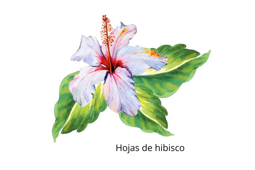 (Ilustración The Epoch Times)