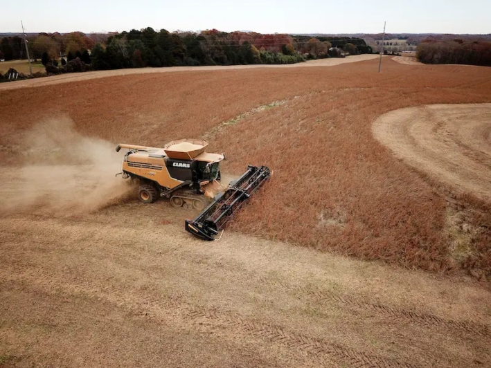 El agricultor Lucas Richard, de LFR Grain, cosecha soja en una granja de Hickory, Carolina del Norte, el 29 de noviembre de 2018. (Charles Mostoller/Reuters)