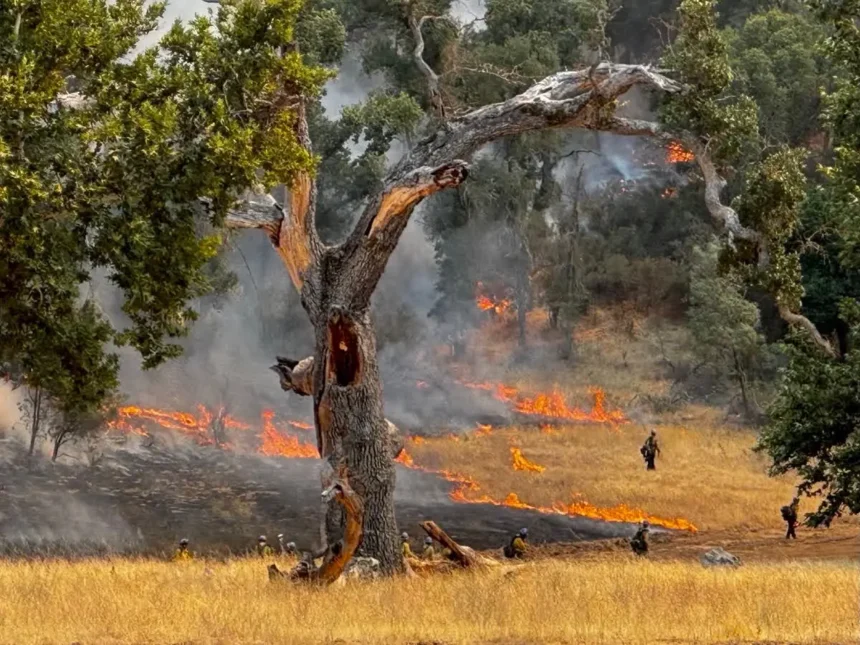 El incendio Gifford ha destruido cuatro casas y lesionado a siete personas, incluyendo cuatro civiles, según el Servicio Forestal de los Estados Unidos. (Servicio Forestal de los Estados Unidos)