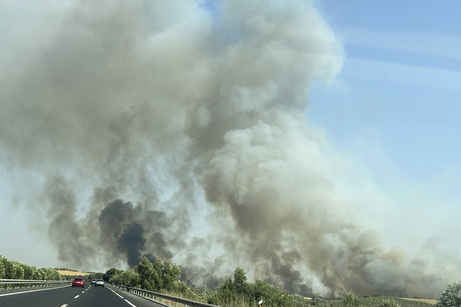 Vista del incendio forestal que afecta a un paraje de Bonares (Huelva), visto desde la autopista A-49. El incendio ha obligado a movilizar medios aéreos y terrestres, y es el segundo activo este domingo en la provincia de Huelva, donde también se trabaja en uno declarado en Aroche. (EFE/Fermín Cabanillas)