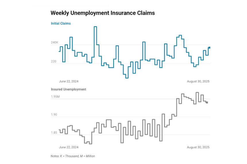 Gráfico: Sylvia Xu/Epoch Times. (<a href="https://oui.doleta.gov/press/2025/070325.pdf" target="_blank" rel="noopener">Departamento de Trabajo de EE. UU</a>. Creado con <a href="https://www.datawrapper.de/_/SLhKa/" target="_blank" rel="noopener">Datawrapper</a>).