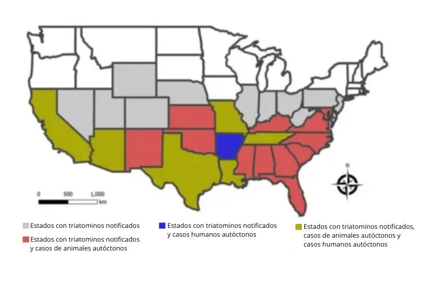 Un mapa publicado el 26 de agosto por los CDC muestra los estados donde se han reportado casos de enfermedad de Chagas y vinchucas. (CDC vía The Epoch Times)