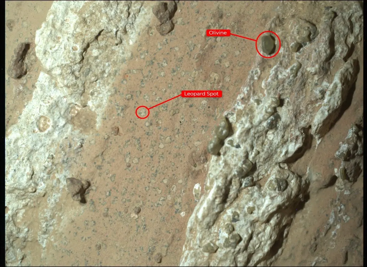 Una imagen de "Cheyava Falls" muestra marcas similares a las manchas de un leopardo que han cautivado especialmente a los científicos, así como el olivino de la roca. La imagen fue capturada el 18 de julio. (NASA/JPL-Caltech/MSSS).