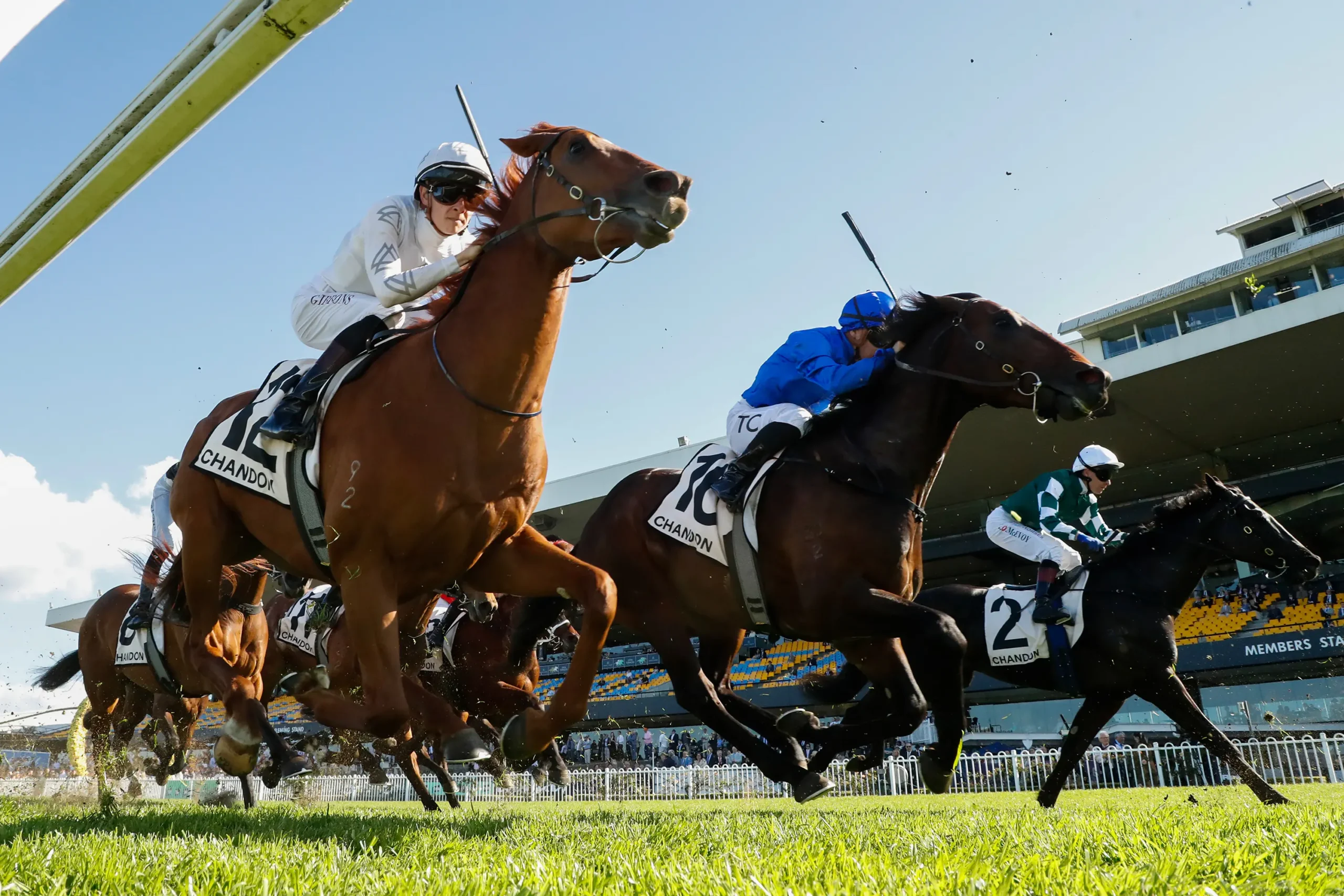 <em>Acción en la carrera 6 Chandon Ming Dynasty Quality durante las carreras de Sydney en Rosehill Gardens, Sídney, Australia, el 13 de septiembre de 2025. Jeremy Ng/Getty Images</em>