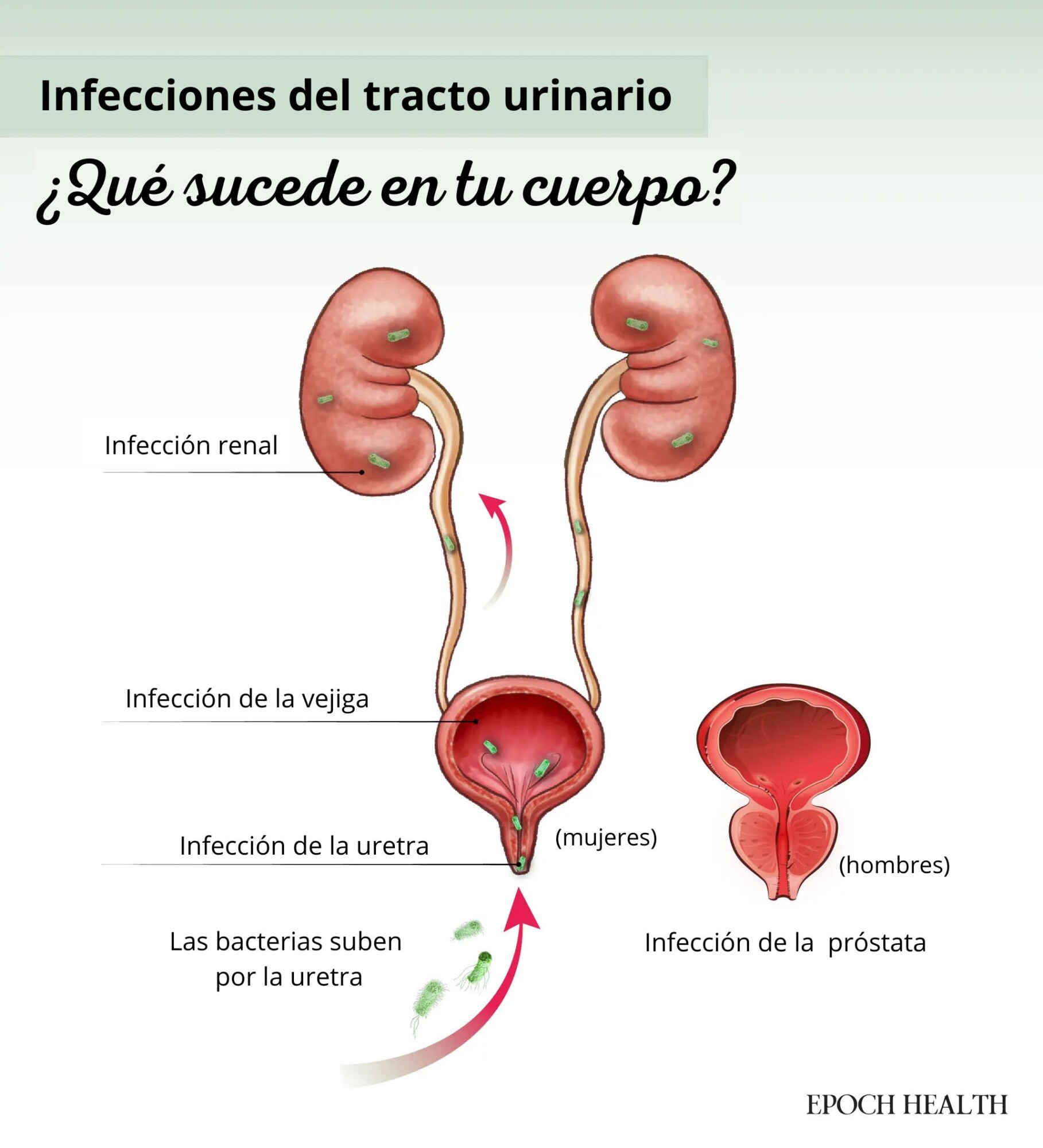 (Ilustración de The Epoch Times, Shutterstock)