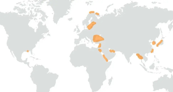 Mapa de la empresa israelí de ciberseguridad marítima Cydome con los puntos negros de spoofing y interferencia del GPS en todo el mundo. (Cortesía de Cydome)