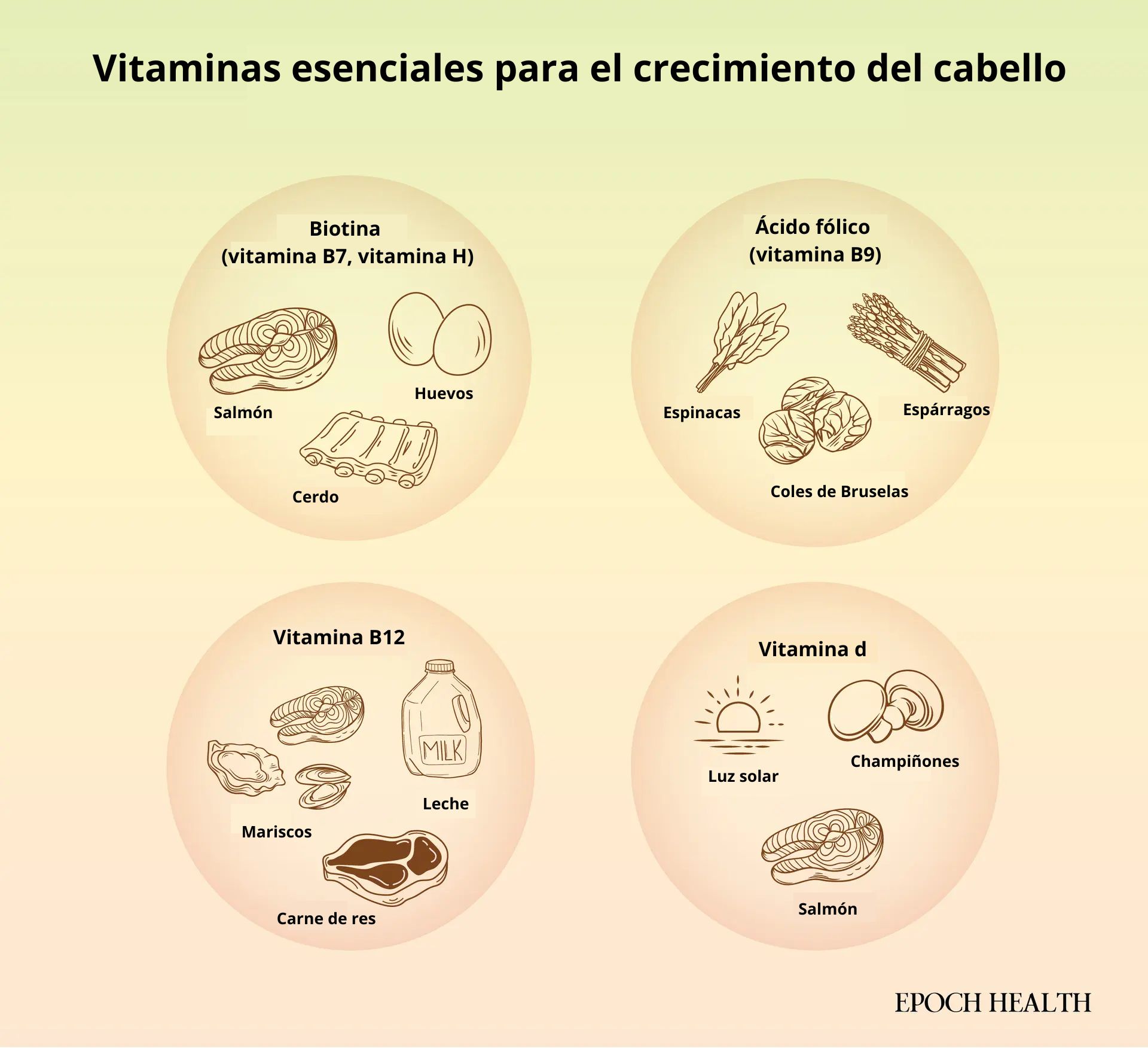 Vitaminas que favorecen el crecimiento del cabello y sus principales fuentes alimenticias. (Ilustración de The Epoch Times, Shutterstock)