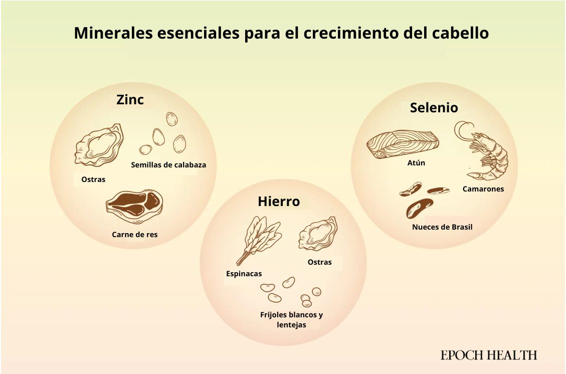 Minerales que favorecen el crecimiento del cabello y sus principales fuentes alimenticias. (Ilustración de The Epoch Times, Shutterstock)
