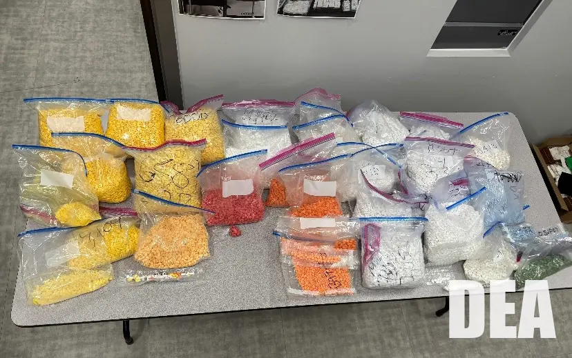 Agentes de la Administración para el Control de Drogas muestran aproximadamente 300,000 pastillas falsificadas incautadas en una operación contra el Cártel Jalisco Nueva Generación en septiembre de 2025. (Cortesía/Administración para el Control de Drogas)