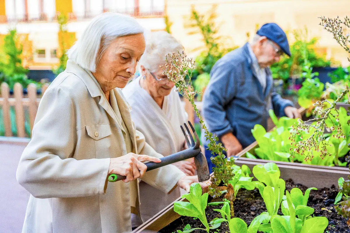 Un enfoque para abordar la soledad es la prescripción social, donde se deriva a las personas a actividades comunitarias, como proyectos de jardinería. (Fotografía de Unai Huizi/Shutterstock)