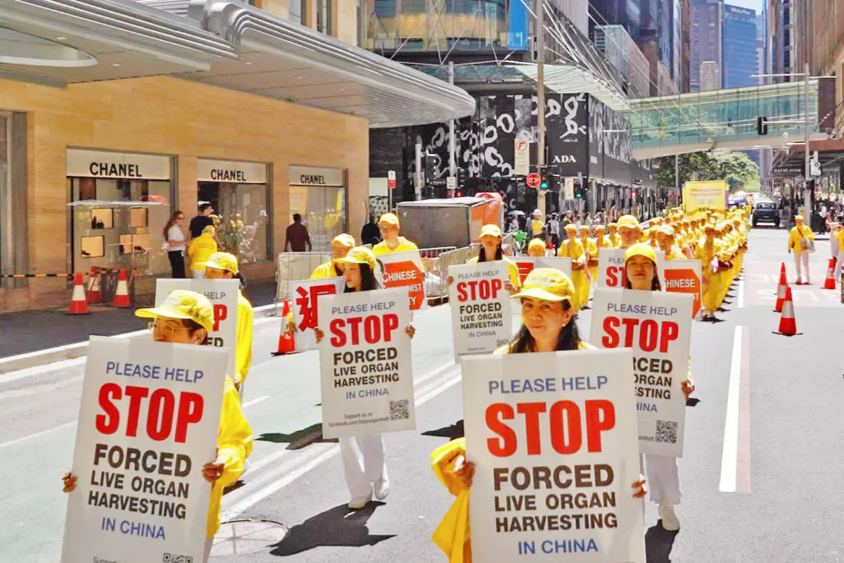 Practicantes de Falun Dafa sostienen carteles para concienciar sobre la brutal práctica de la sustracción de órganos llevada a cabo por el PCCh, durante un desfile por el concurrido centro de Sídney, Australia, el 10 de octubre de 2025. (Wang Nan/NTD TV).